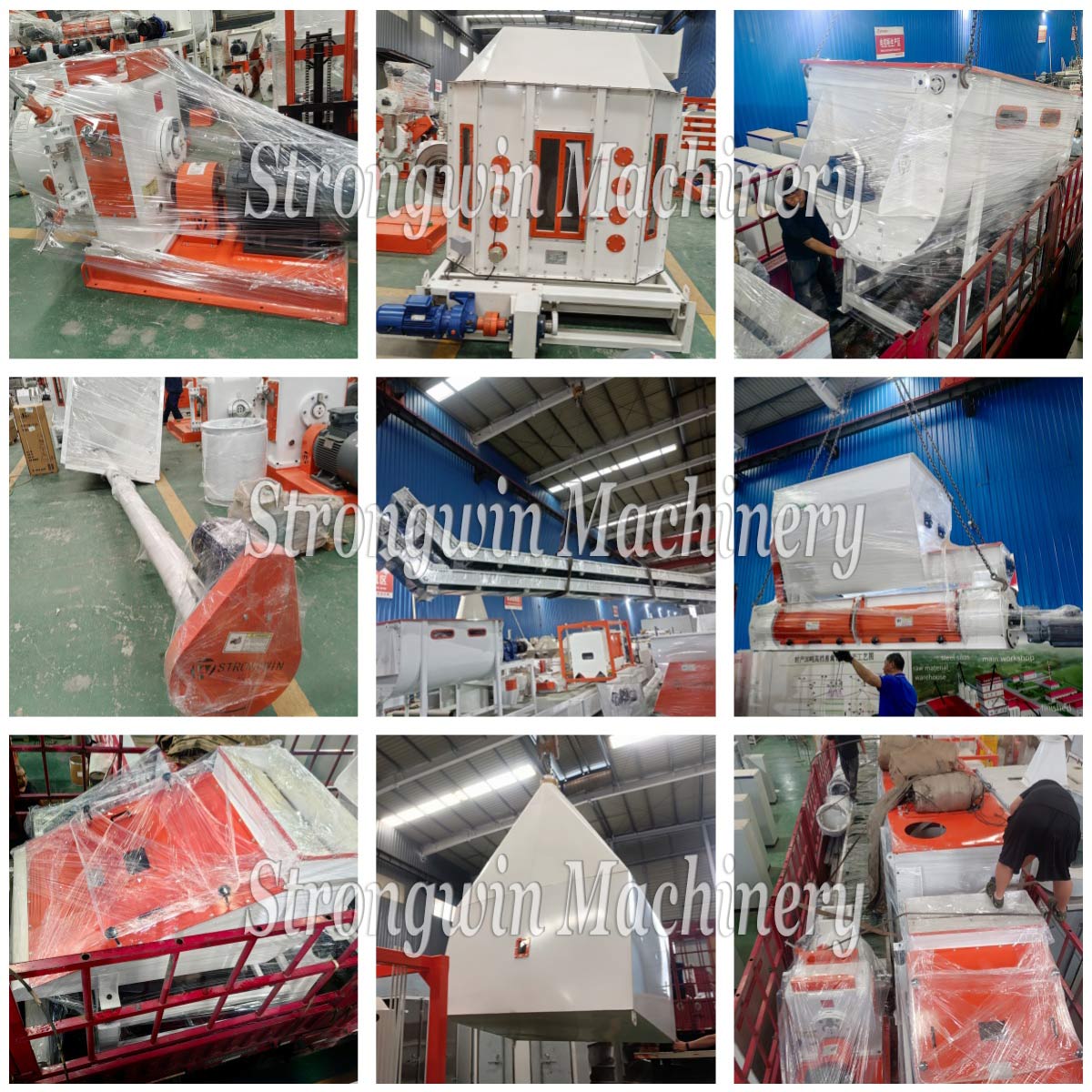 SZLH350 animal feed pellet machine packing and shipping 