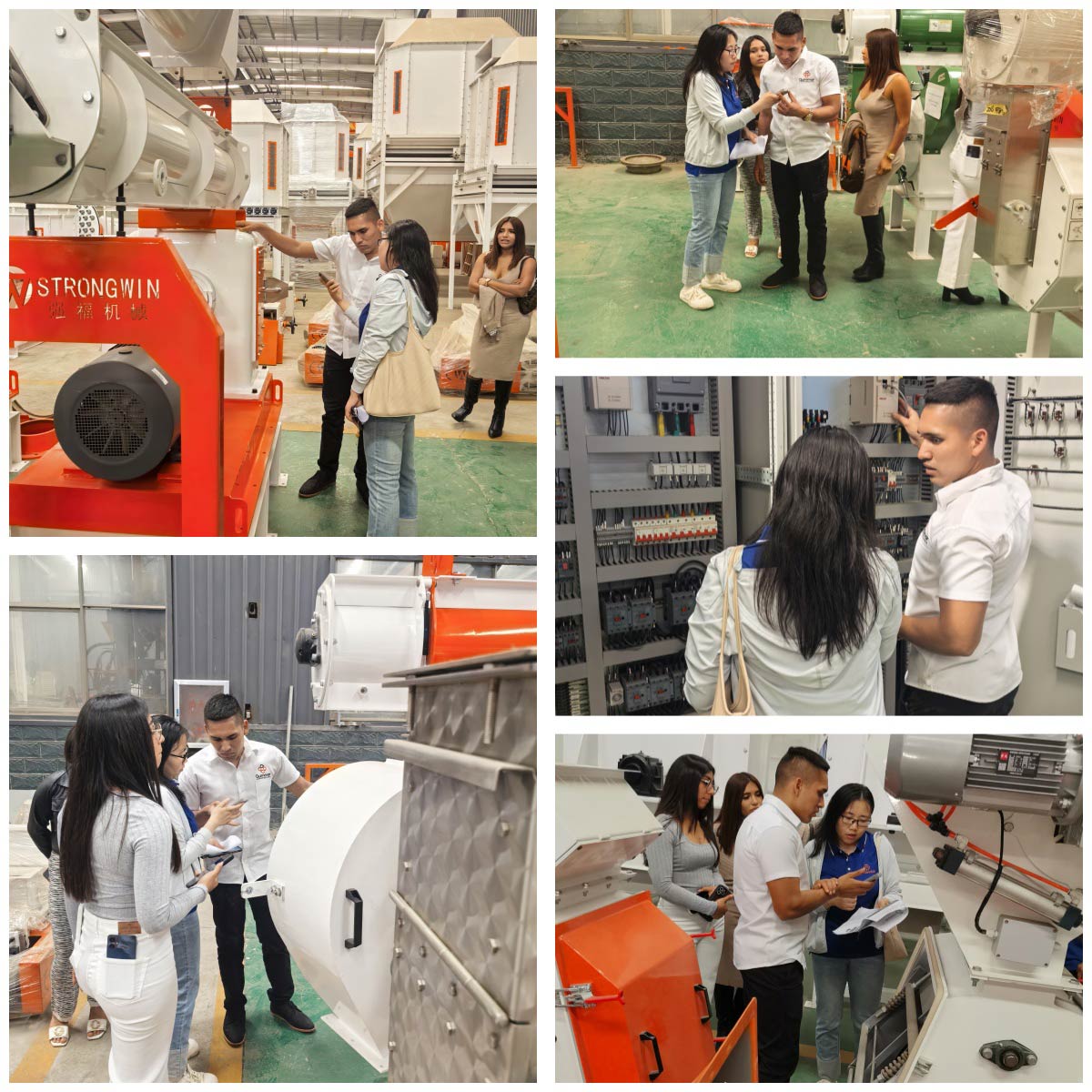 Customers from Peru visited our factory for Animal Feed Plant