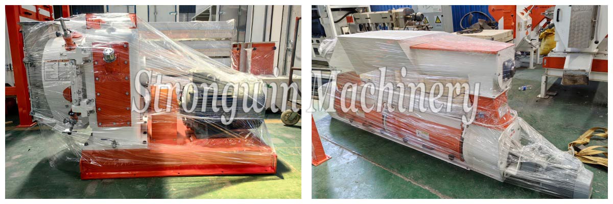 Animal feed pellet machine packing and shipping to Xinjiang Province, China