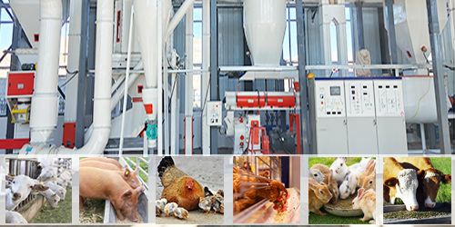 Planta de piensos, máquinas de producción de piensos, máquinas de piensos para animales