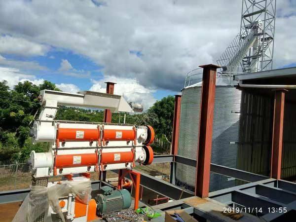 feed manufacturing plant in Dominica